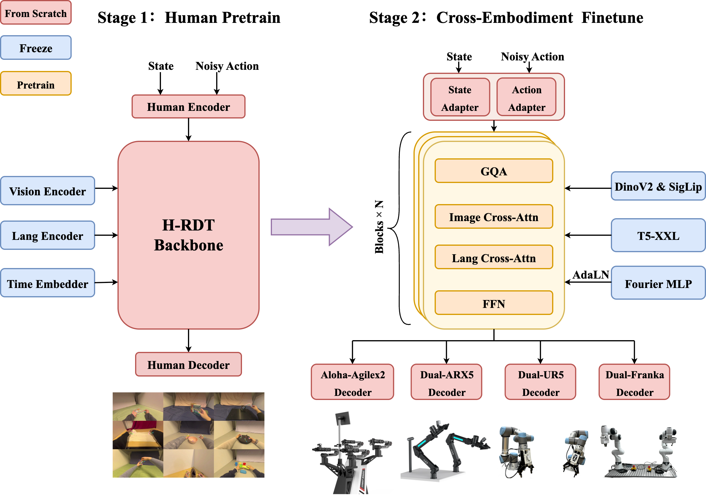 H-RDT Architecture